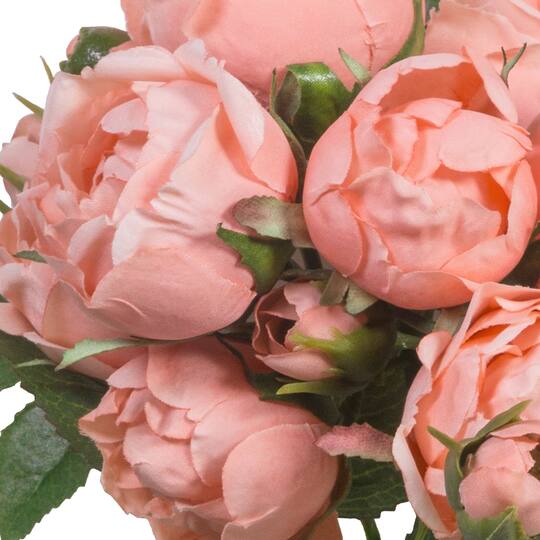 Shop For The Coral Garden Rose Bush By Ashland At Michaels